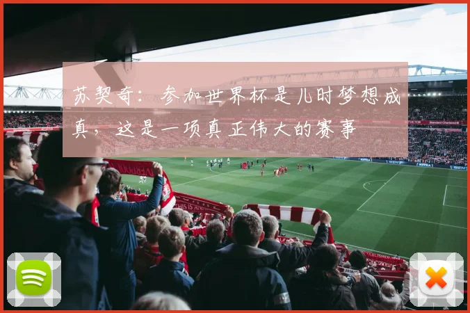 苏契奇:参加世界杯是儿时梦想成真,这是一项真正伟大的赛事